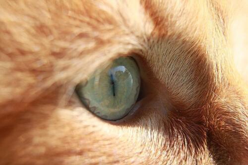 51448060 2067798846843582 6980970061732698466 n